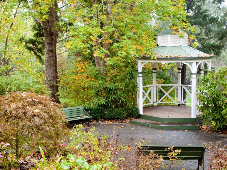 Choose The Perfect Wedding Reception Venue in Yarra Valley 768x576