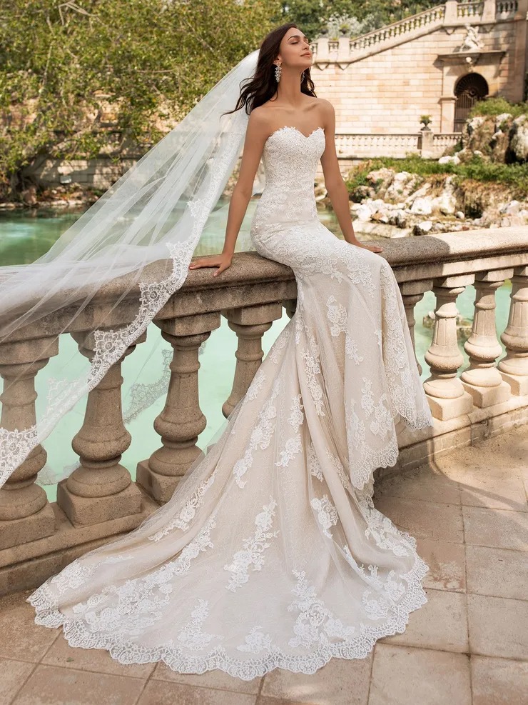 imgi 1 princia 1.740